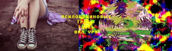 эйфоретик Абаза